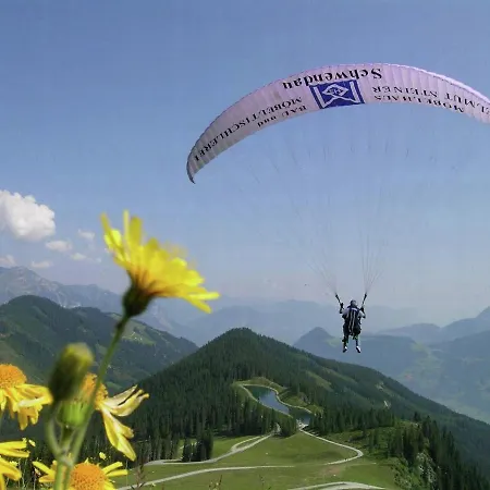Obersteiner 2 Rohrberg